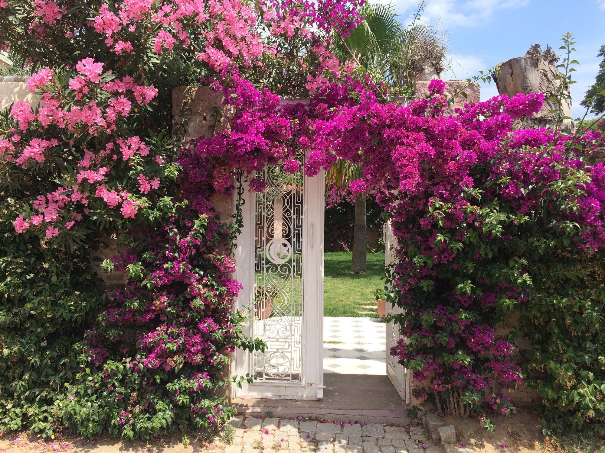 Cunda Has Konak Butik Otel Ayvalı Εξωτερικό φωτογραφία